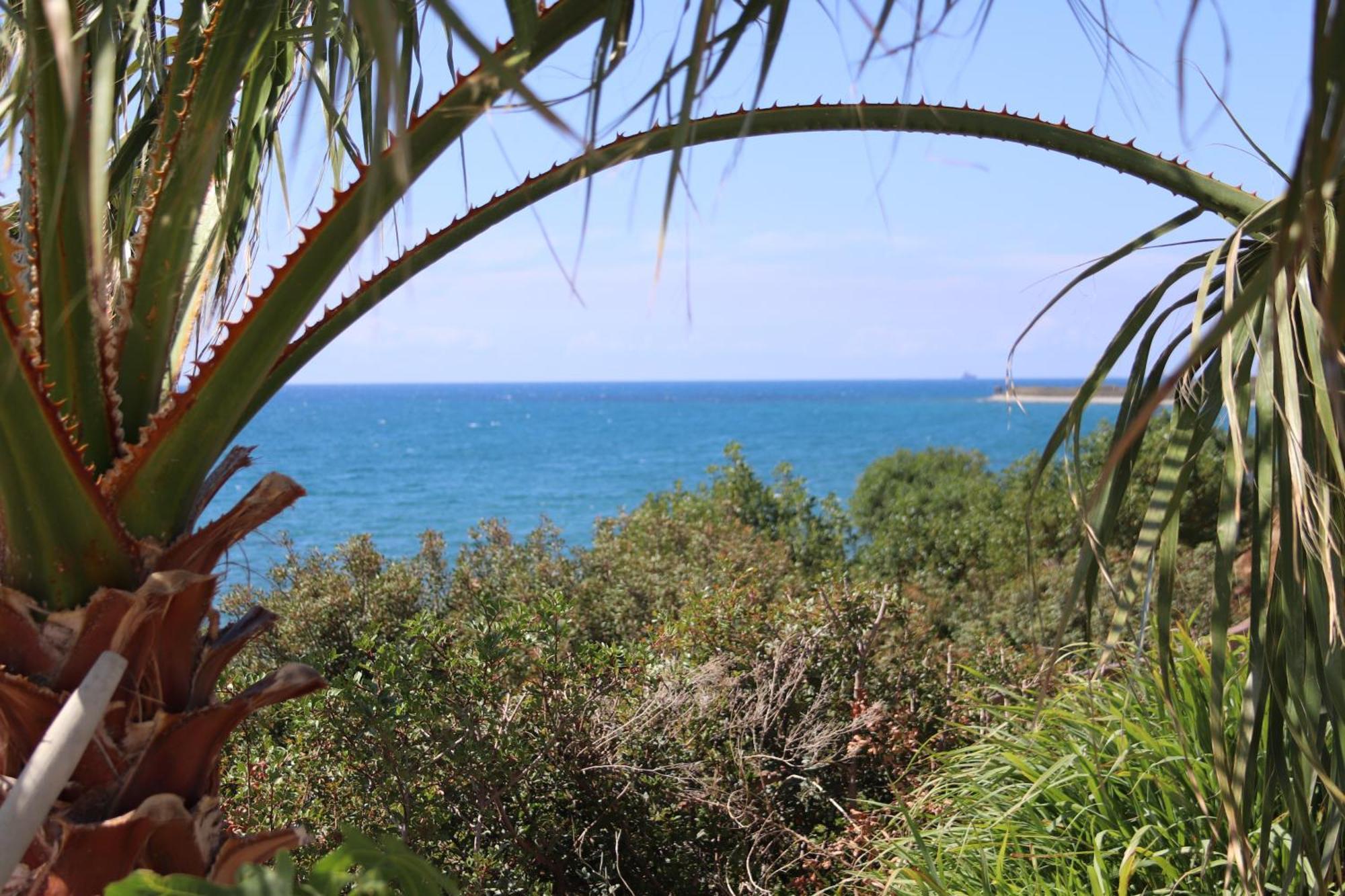 Summer Dream Cyprus Maroni 외부 사진